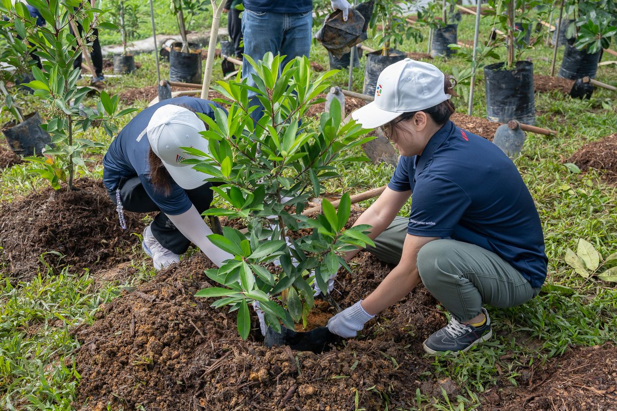 APREA_asia's tweet image. Thank you to the National Parks Board for their support and to everyone who joined us for a meaningful morning!

🌿 Download the APREA Nature-based Solutions Playbook (exclusive for members): aprea.asia/esg-publicatio…

#APREA #20for20for20 #APREA20 #Sustainability #ESG