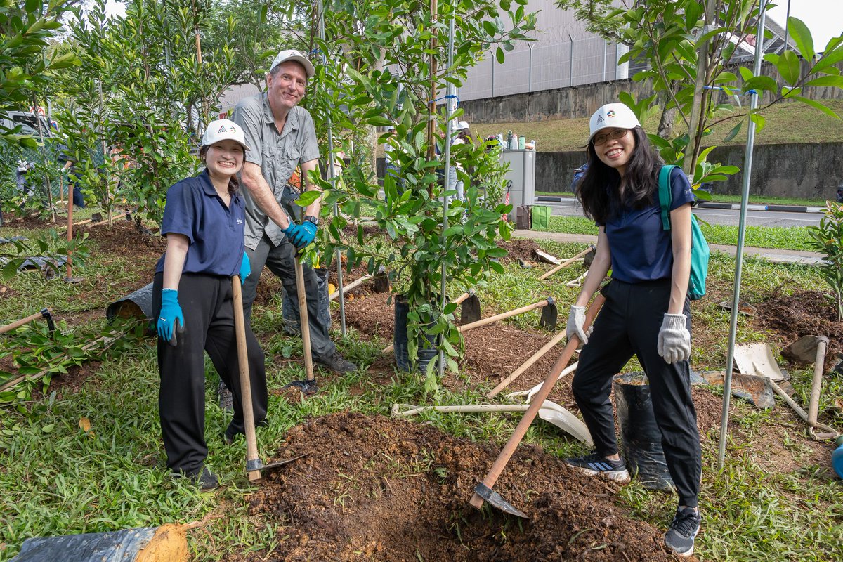 APREA_asia's tweet image. Thank you to the National Parks Board for their support and to everyone who joined us for a meaningful morning!

🌿 Download the APREA Nature-based Solutions Playbook (exclusive for members): aprea.asia/esg-publicatio…

#APREA #20for20for20 #APREA20 #Sustainability #ESG
