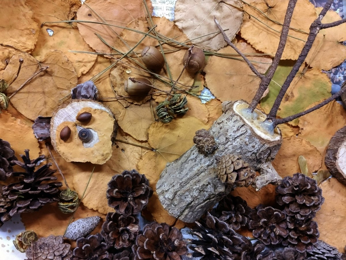 12月20日(土)開催イベント「松ぼっくりや木の実などで動物オブジェを