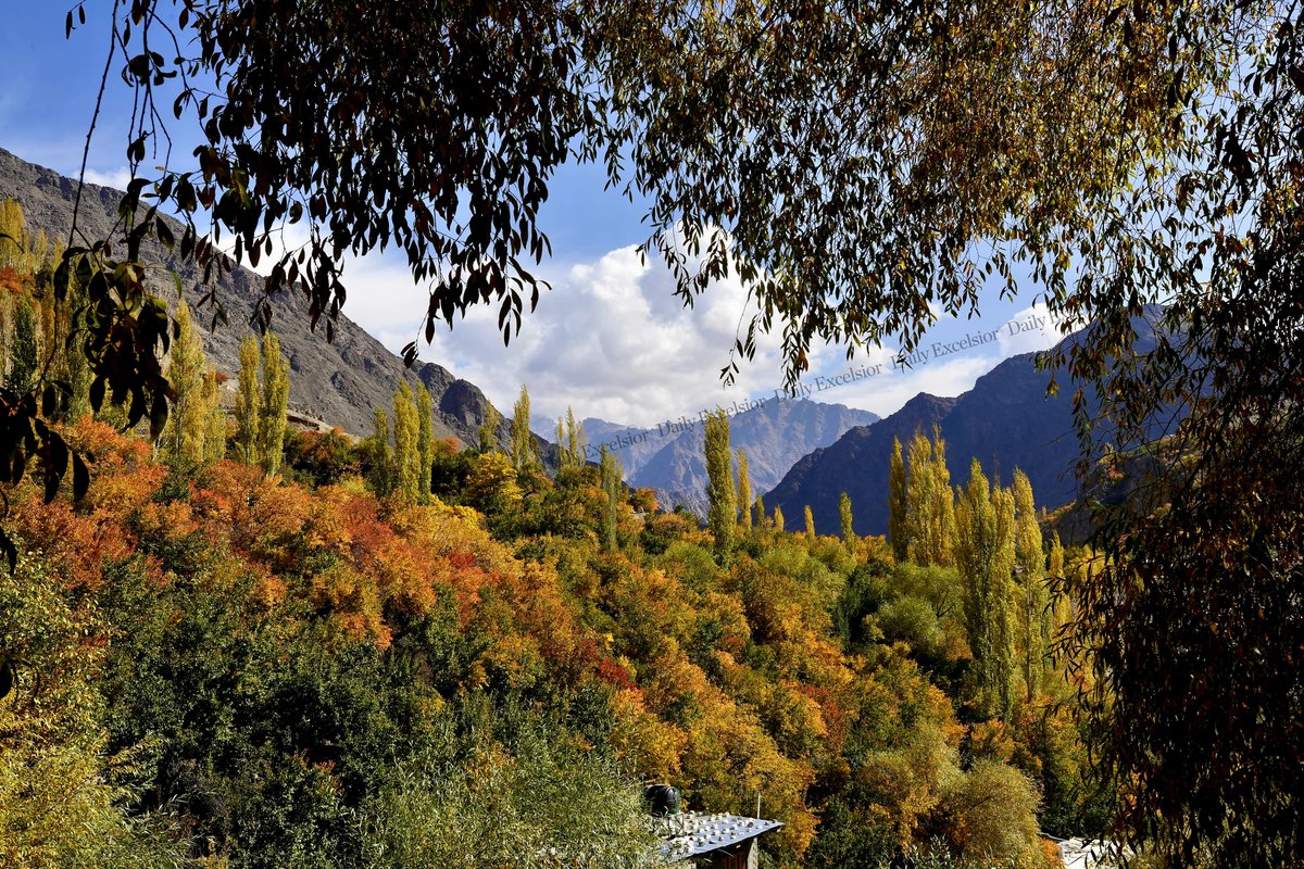 DailyExcelsior1's tweet photo. A Panoramic View Of Autumn In Kargil.
#PanoramicView #Autumn #Kargil
Pics | Aabid Nabi/Excelsior https://t.co/qmmmkzsVbW