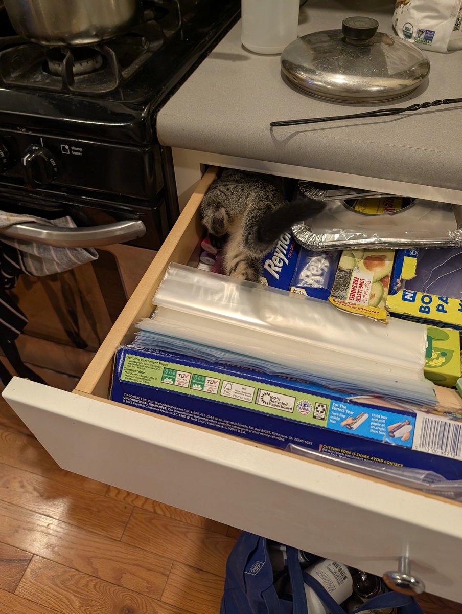 Zweil, The Reviled tweet media