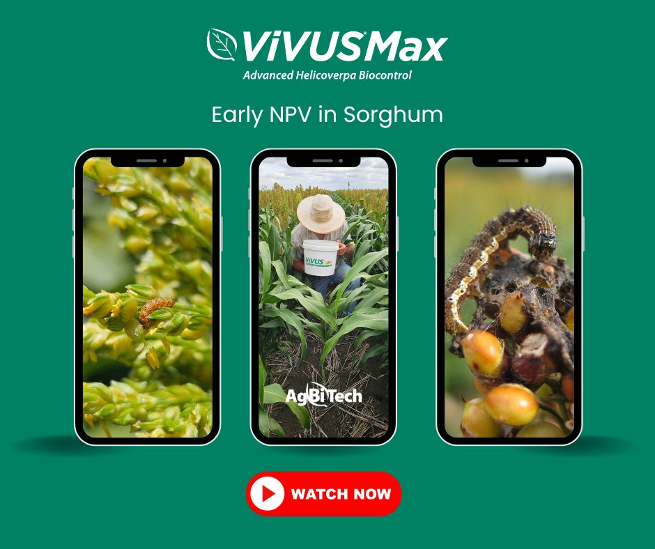 AgBiTech Australia tweet media