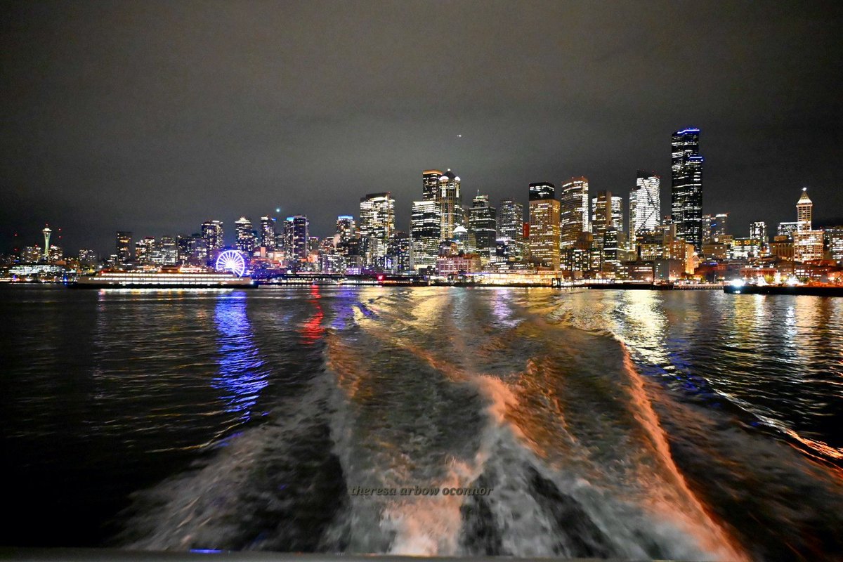 TheresaArbowOC's tweet image. Seattle sparkling through the cloudy skies ♡