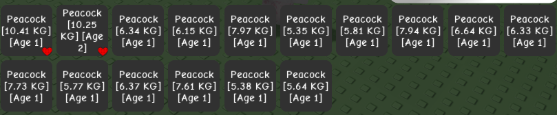 wanglin peacock | open rekber/convert tweet media