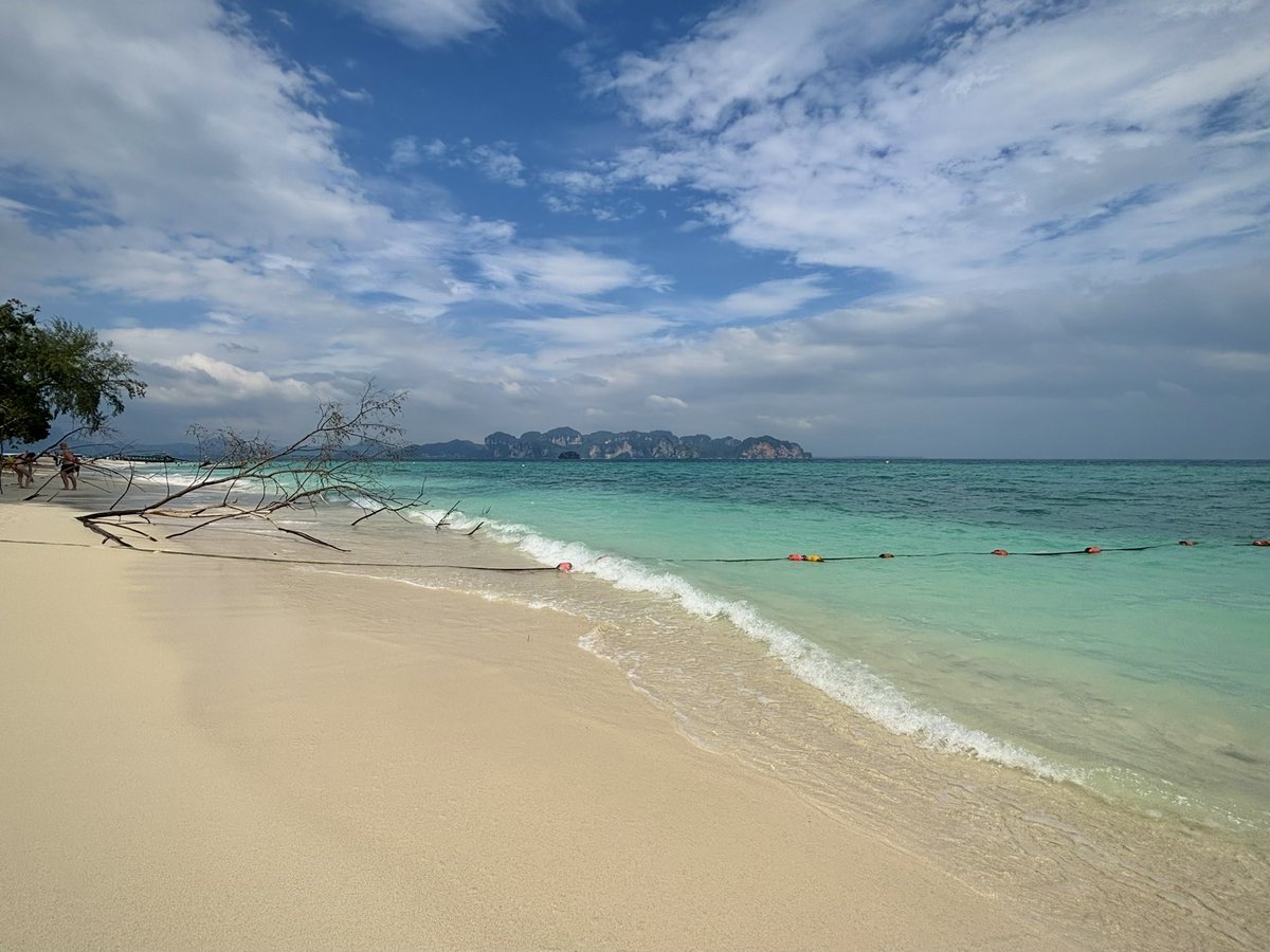 正在想喝奶盖茶 tweet media