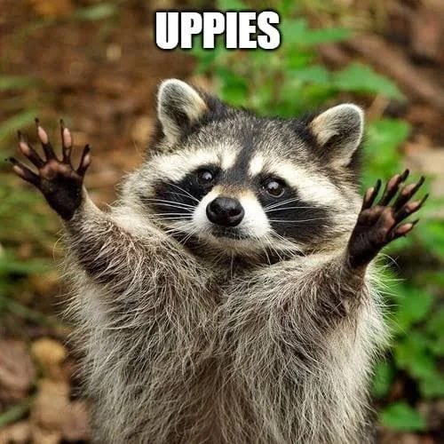 My pov as the tallest person in the arms length pit