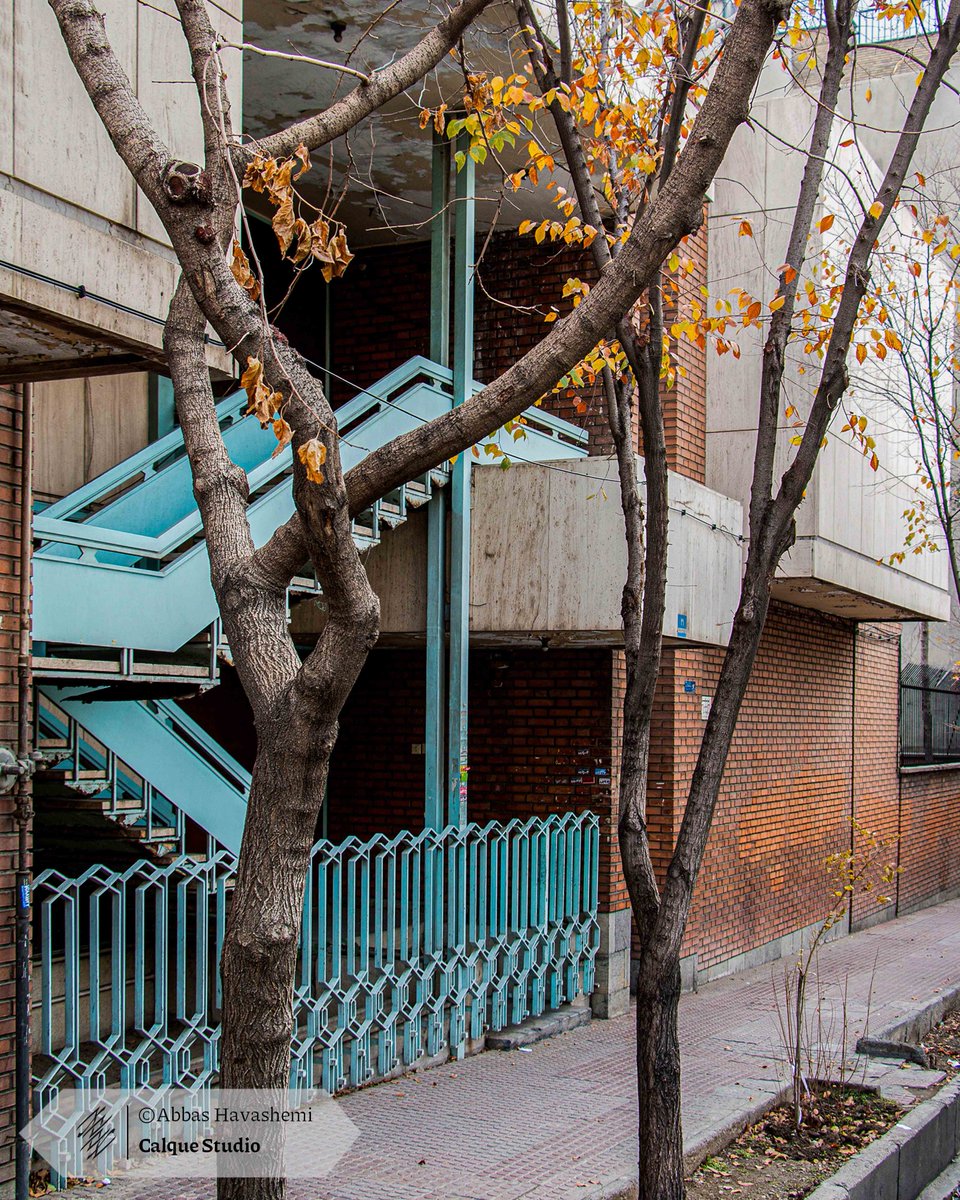 Calque Studio | استودیو کالک tweet media