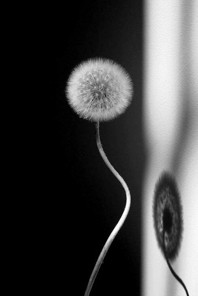 El día que no sientes nada entiendes que la tristeza no es el peor estado de ánimo 

🖋️ Efimera Lunar Intemporal 📷web