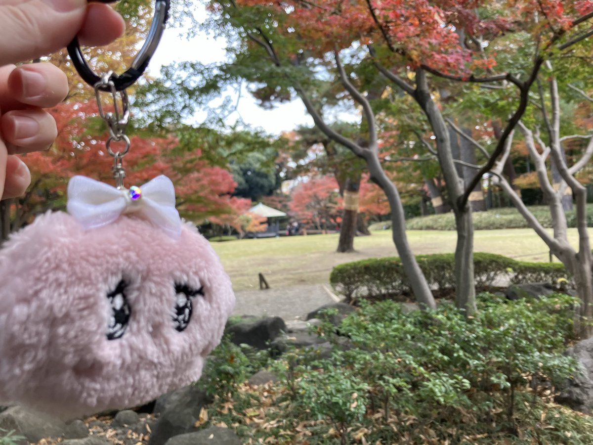 不安の妖精ふぁんふぁん (@fanfan_smzm) / Posts / X