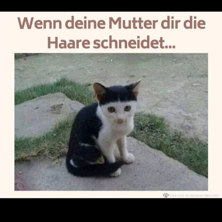 Siehst'e aus wie eine linke
Trulla 😂