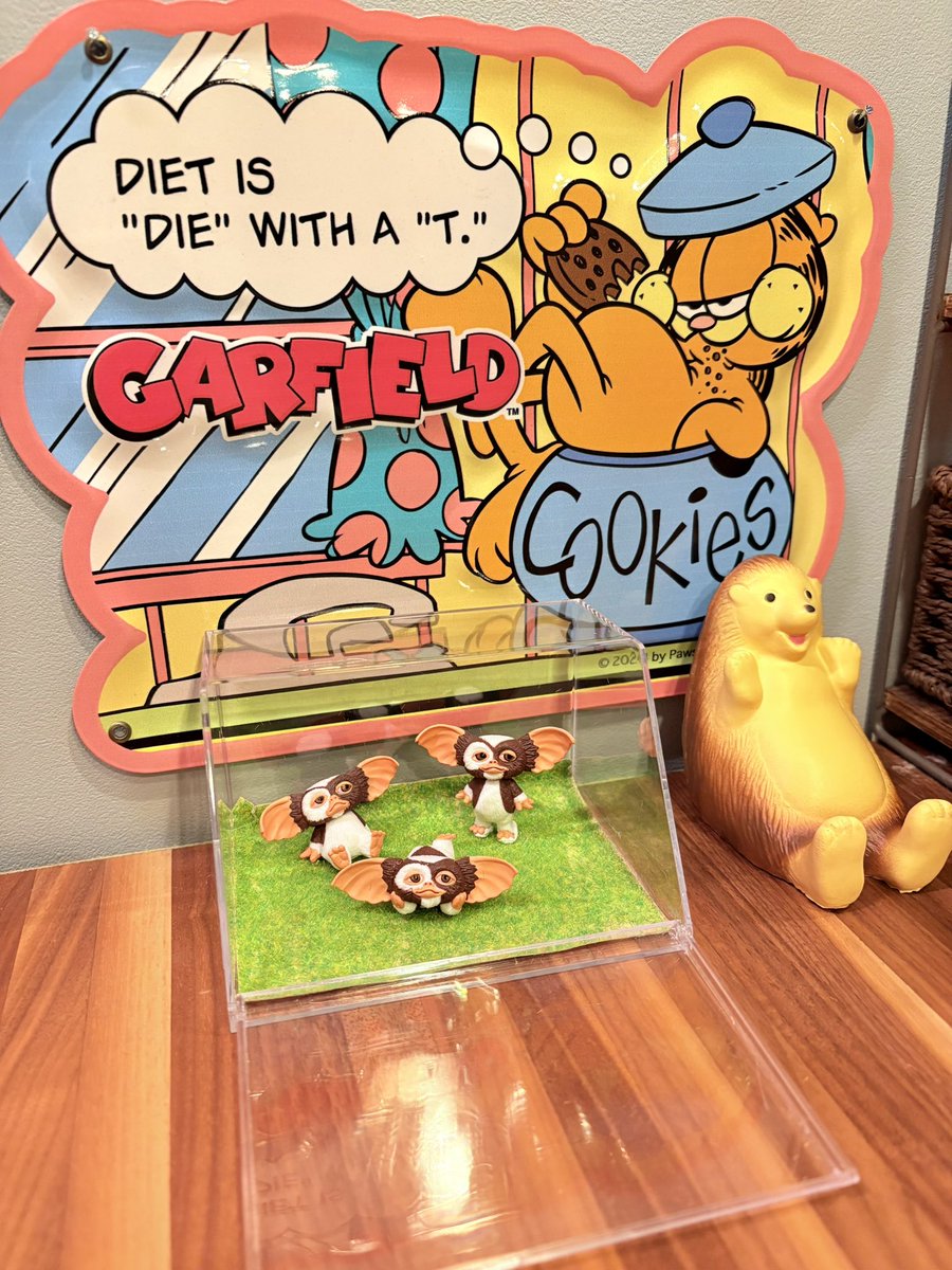 ギズモちゃん3匹捕獲成功♪