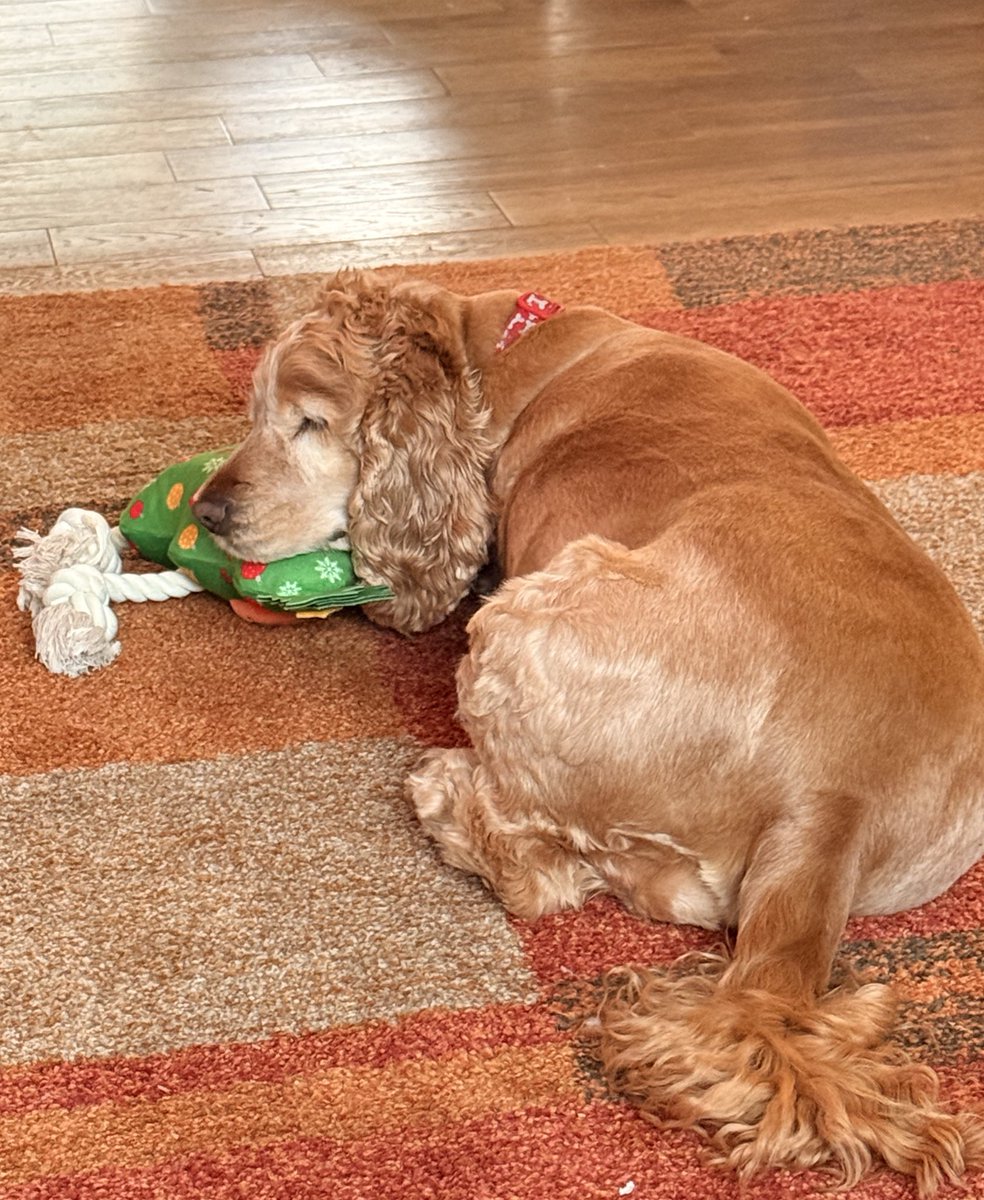 MuppetMischief's tweet image. I think she loves her new toy! @AldiUK