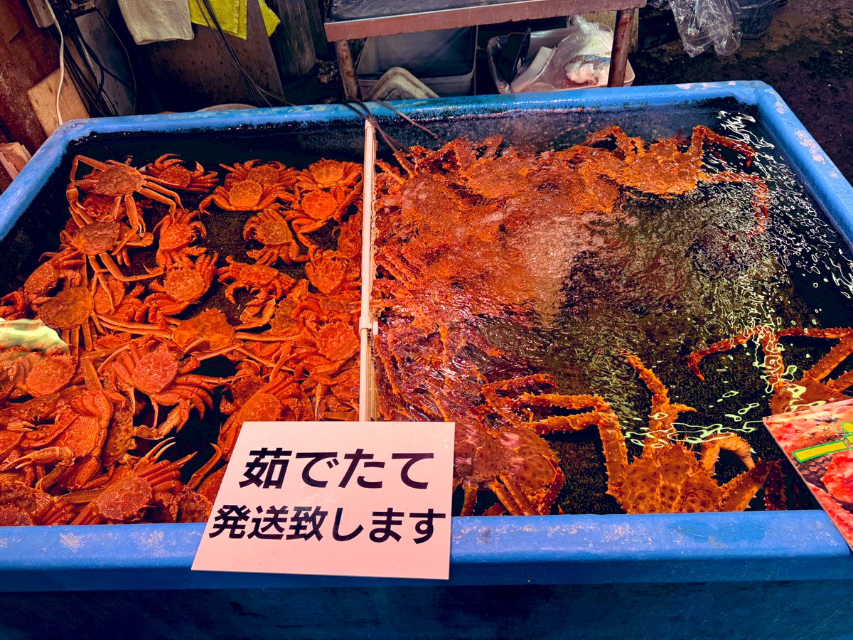 Sumulia0201's tweet photo. 蟹しゃぶ用に購入🦀 https://t.co/FaMjIlYyzl