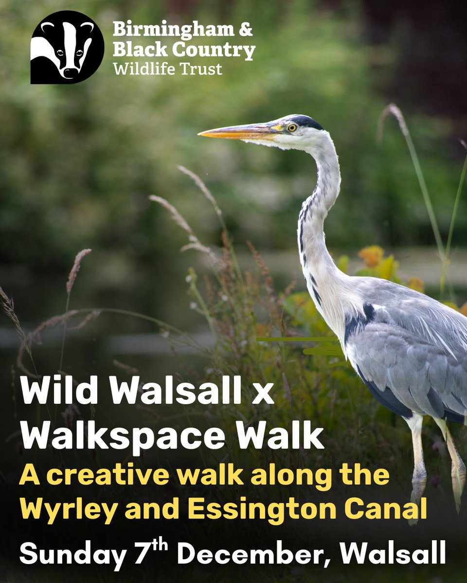Birmingham & Black Country Wildlife Trust tweet media