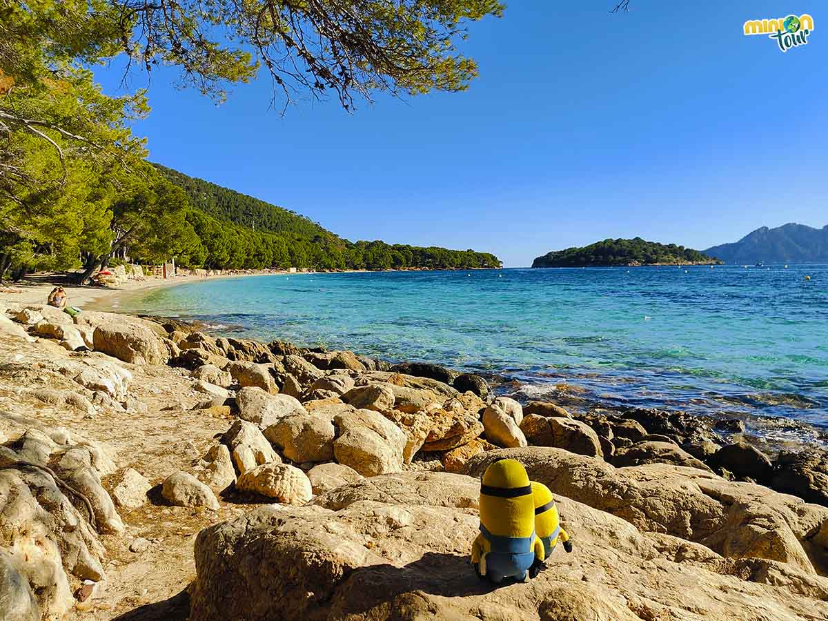 🆕 post!
Pueblos preciosos 🏘️, carreteras con curvas sinuosas, montañas 🏔️, calas recónditas y naturaleza en estado puro 🏞️. La #SerradeTramuntana de #Mallorca es maravillosa 🌄. ¿Te la enseñamos?
👉 bit.ly/SierraTramunta…
@galiciatb <a href="/MadridTB/">Madrid TB</a> <a href="/MallorcaTourism/">Fundació Turisme Responsable de Mallorca</a> @turismebalears