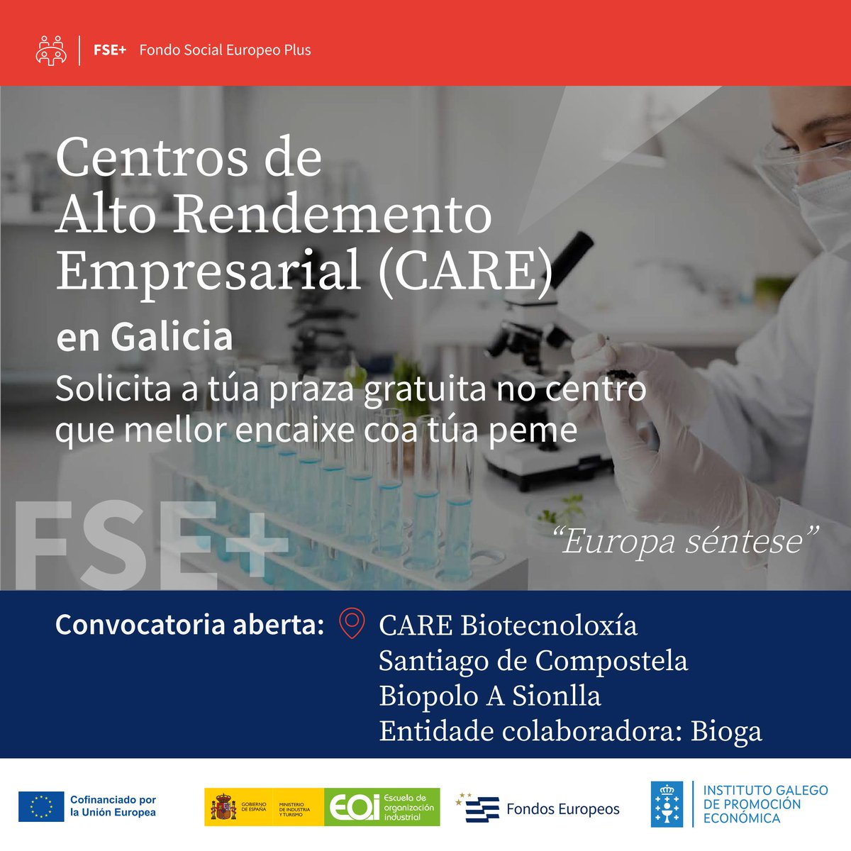 Igape - Instituto Galego de Promoción Económica tweet media