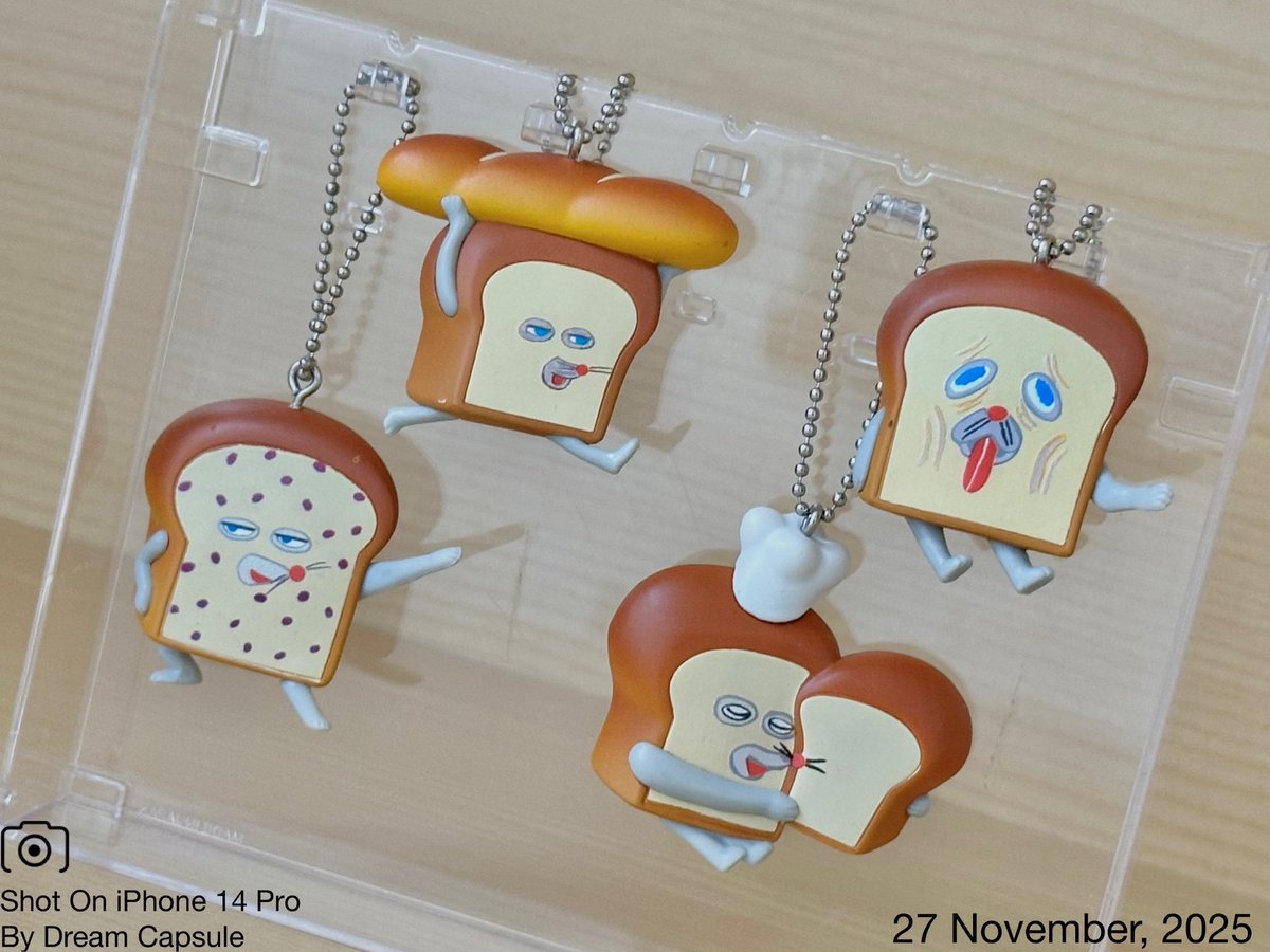 しぇいこん (@jyugonwife) / Posts / X