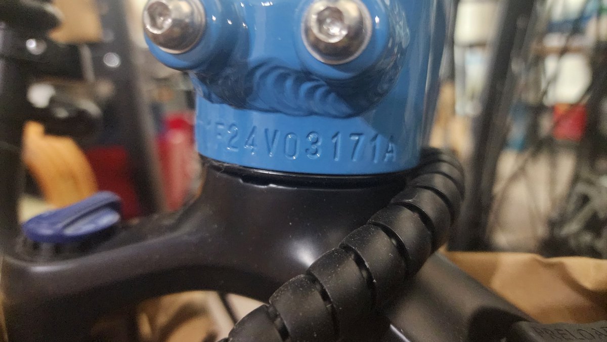 Interlinked Parlays (@lostbladerunner) on Twitter photo 