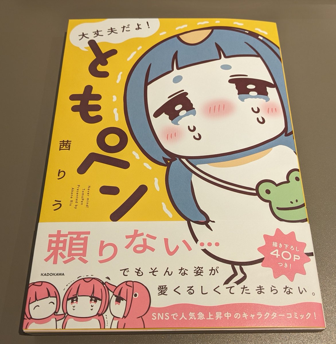 茜りう@11/19ともペン書籍発売 (@riu_akane) / Posts / X