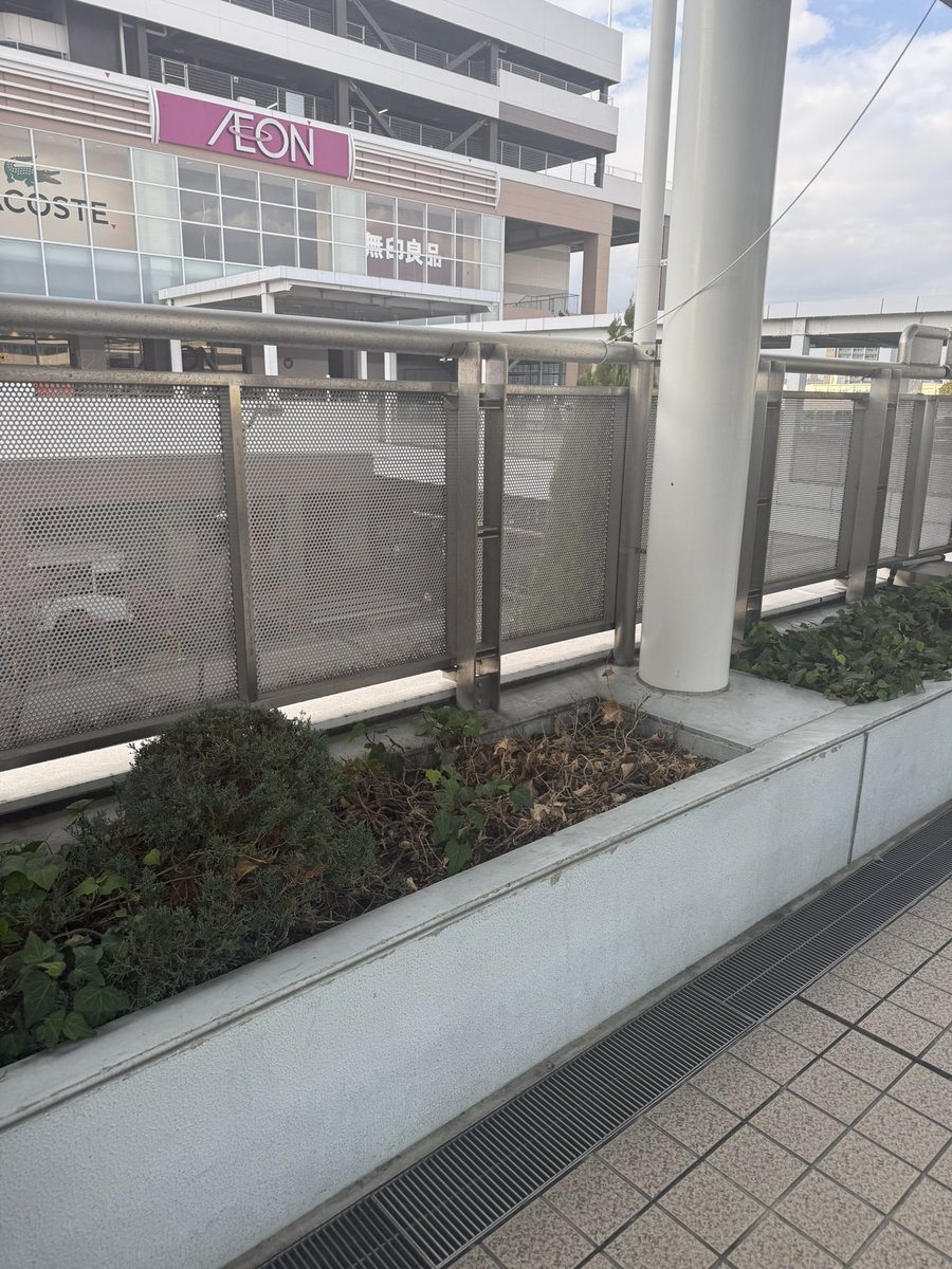 46_Re_'s tweet photo. @torisan_17 イオン2階に向かうまでの通路にいます！
ジョシュアのうちわ持っています。 https://t.co/WaKIpSARPy