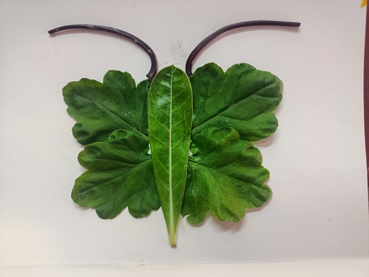 PrethilanF's tweet image. சின்ன கையால செய்த பெரிய கலை!🤲✨🦋 #schoolproject