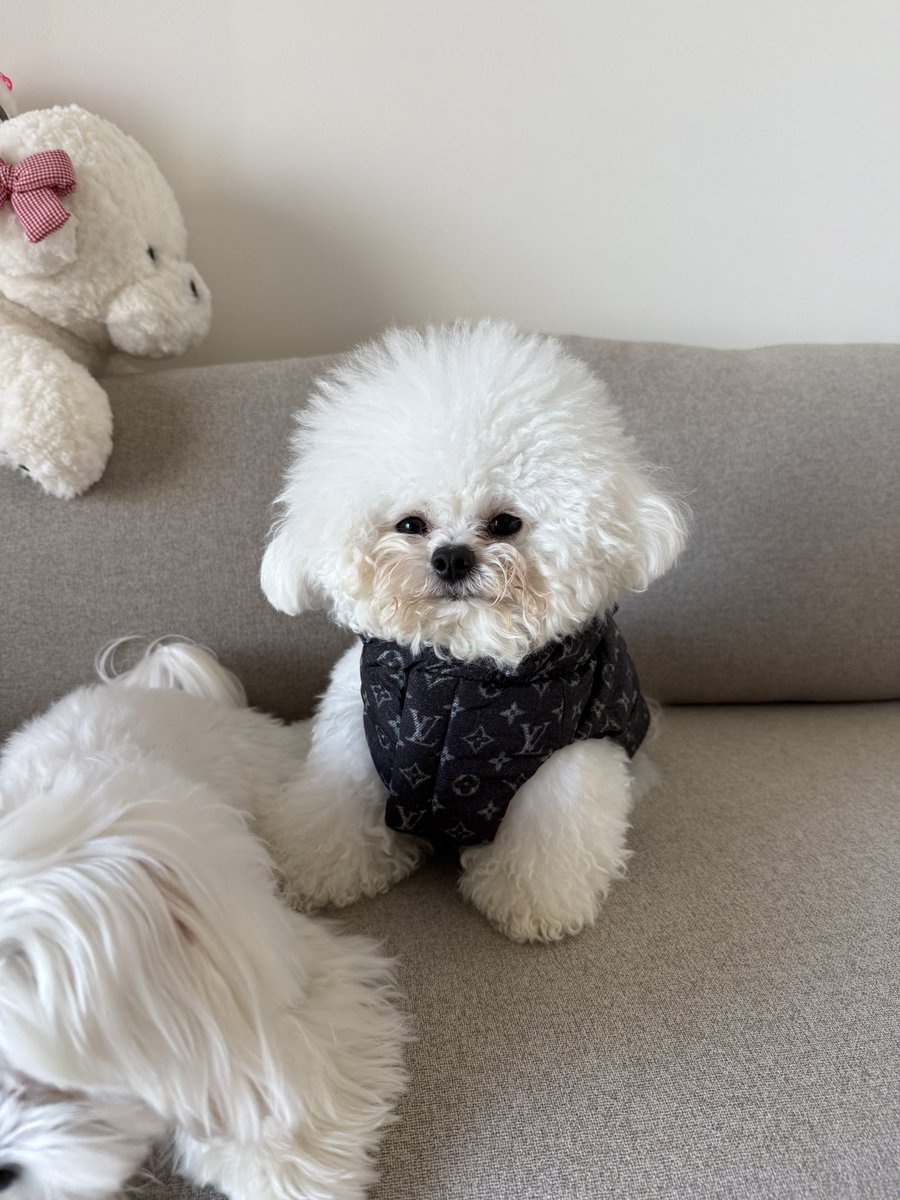 リサ (@99risachandayo) / Posts / X