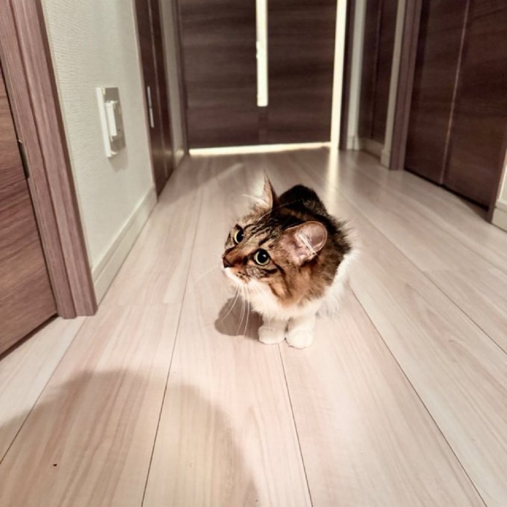 おかえりなさいのお出迎え🥰