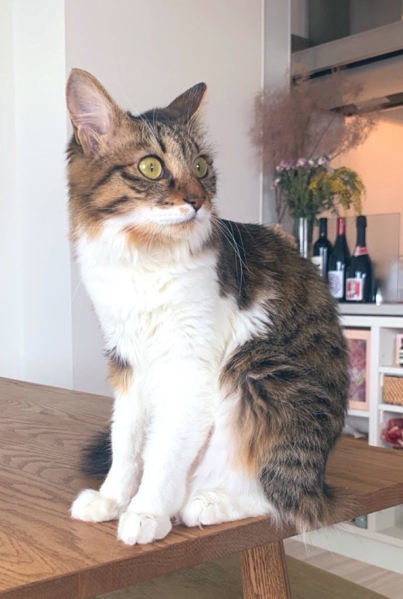 きたな12月！イベントたくさんだ🎄