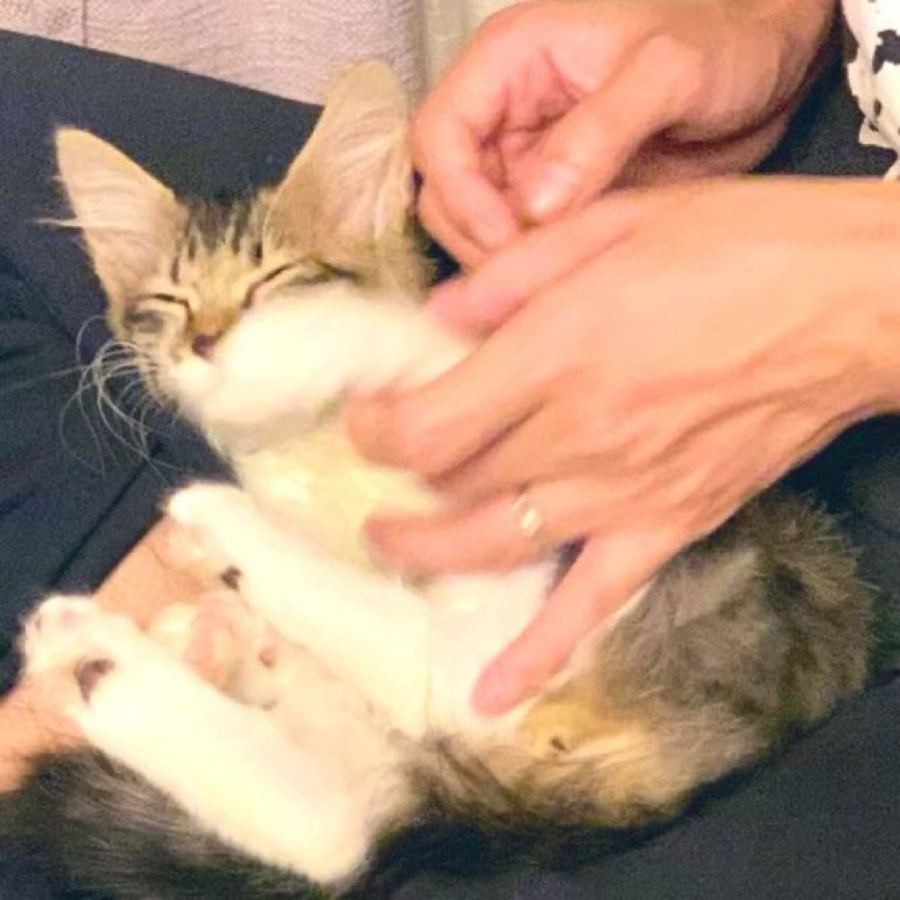 愛しのベビココ✨