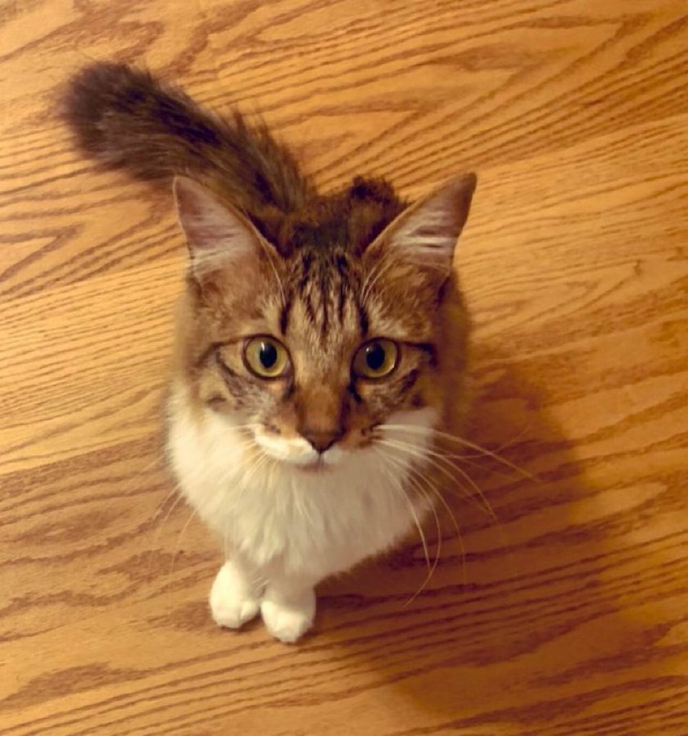 金曜日！明日はお休みだよ✨