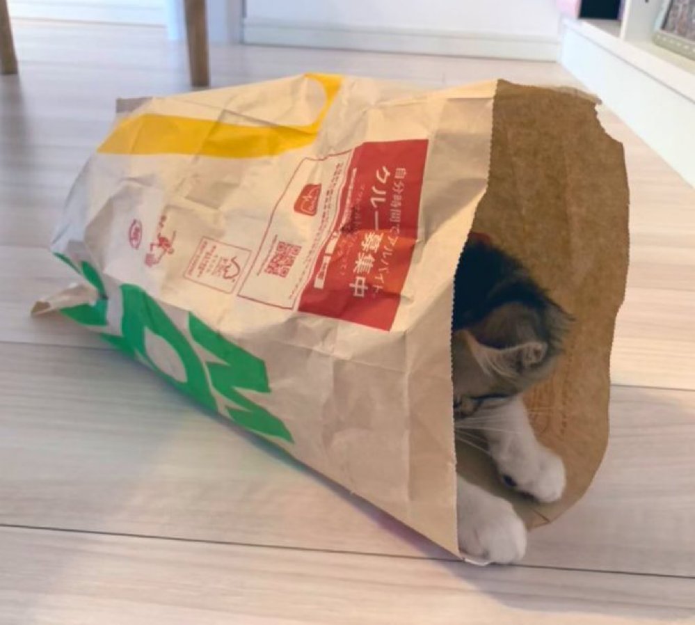 みんな大好きマックの袋🛍️