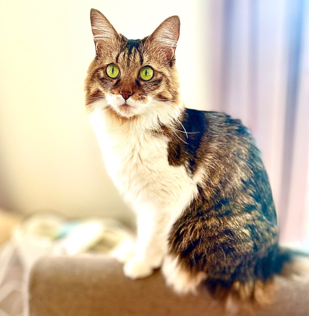 今週もはりきってこー✨