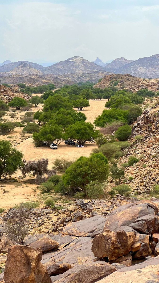 يازين المقيال في هذا الوادي خاصه إذا حن الرعد والغدا يطبخ 🌧️👌