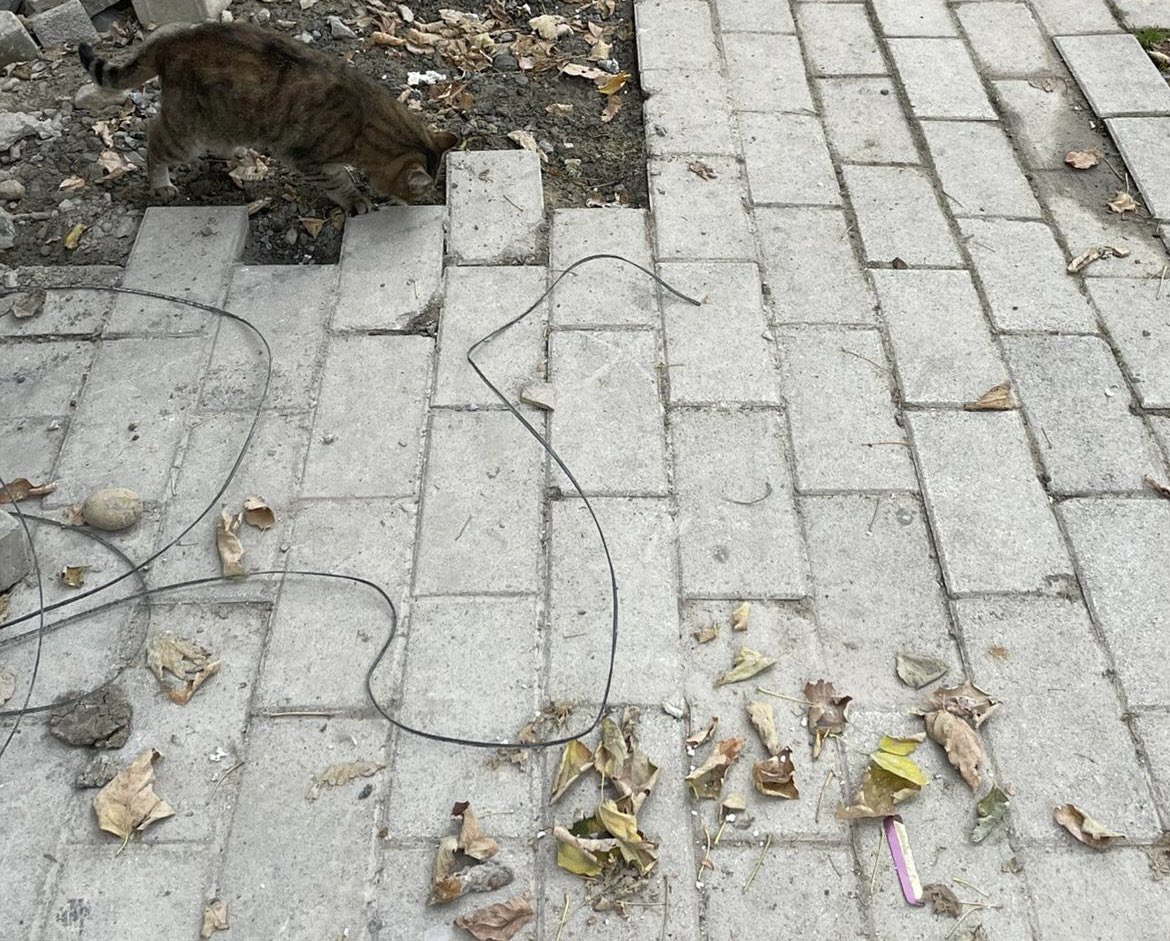 TurkNet’in saha ekibi titizlikle çalışıyor diyerek gönderdiği ekibi görüyorsunuz arkadaşlar ellerini kullanmaya başladığında kabloyu takacak bugün 8. gün <a href="/TurkNetDestek/">Turknet Destek</a> <a href="/CemCelebiler/">Cem Çelebiler</a>