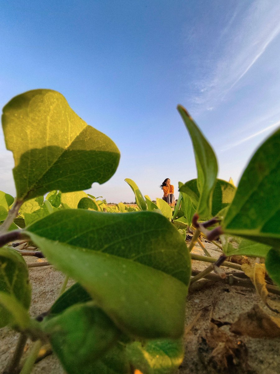 ramdasspai's tweet image. Less noise. More clarity. The design and the shots follow the same philosophy.

Let me know your thoughts down in the comments.

The last image is shot with the dedicated macro camera.
#withNothing @AkisEvangelidis @getpeid