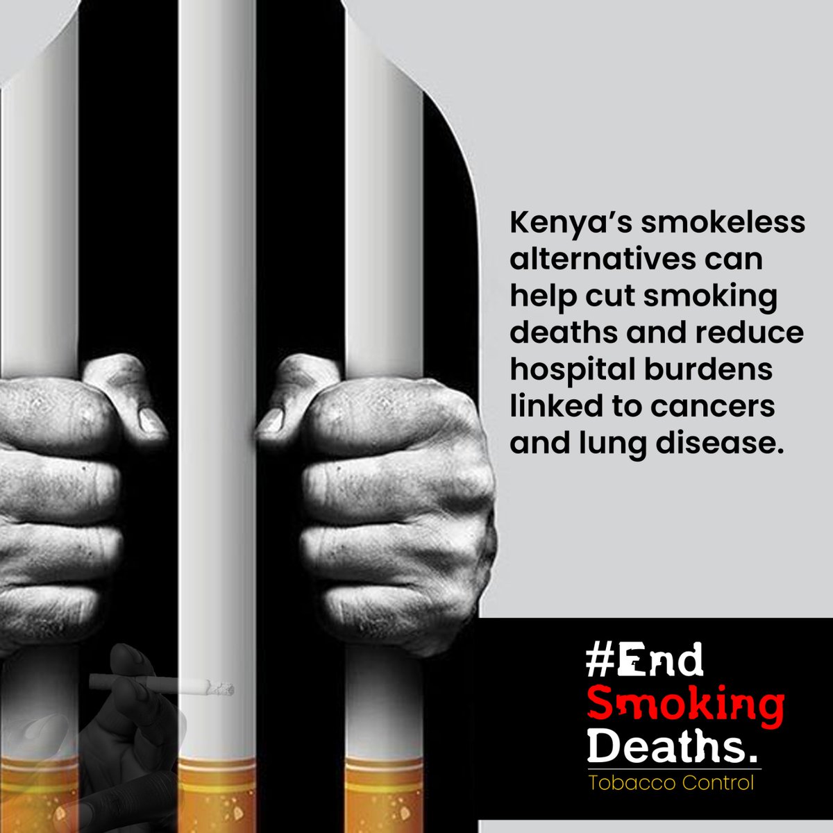 lilacmwesh's tweet image. A  ban on vapes and nicotine pouches won’t solve the problem. Kenya needs smart regulation on Tobacco Control, not prohibition.
Let’s protect public health without pushing users to unregulated black markets.
A balanced approach is possible.
#EndSmokingDeaths
