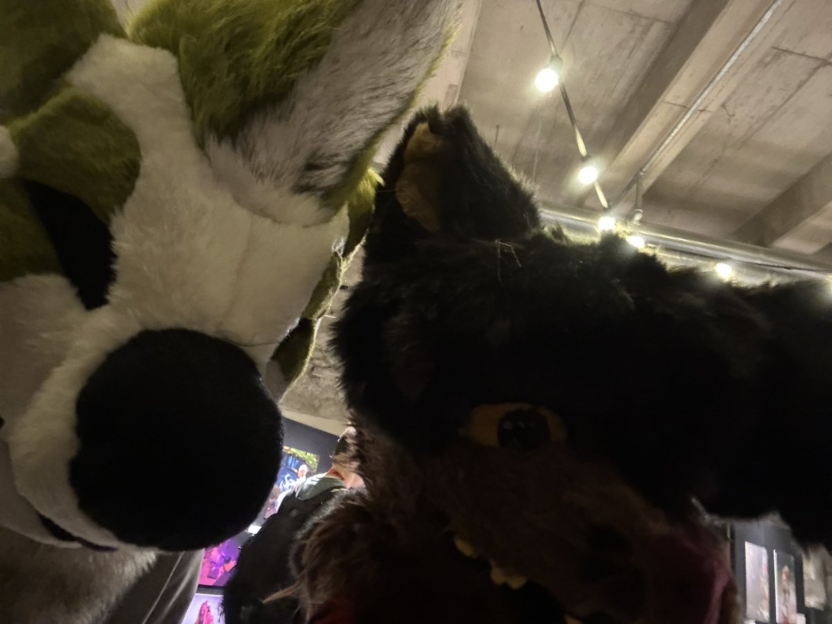 FurryHUB tweet media