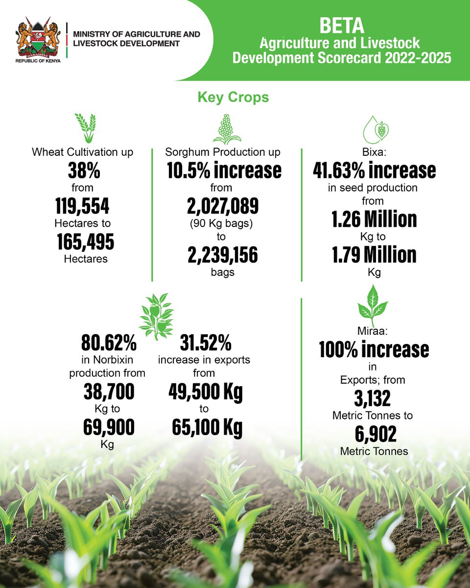 BonfaceOngeriW's tweet image. When agriculture becomes profitable, the youth turn it into a lifestyle. Modern tools and digital platforms are making farming fashionable again. #MoALD | #AgriNext | Agri Tech Revolution | Enashipai Summit