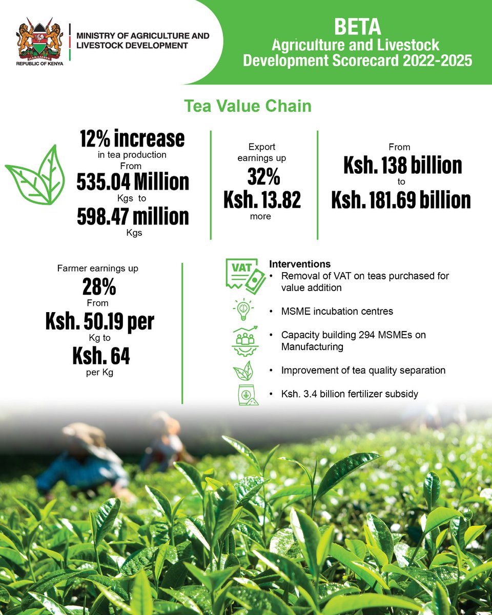 Itsheatherke's tweet image. Tea production rose 12, export earnings grew 32, and farmer earnings increased 28. VAT removal, MSME incubation, and fertilizer subsidies are helping farmers earn more from their crops. Agri Tech Revolution  Enashipai Summit #MoALD #AgriNext.
