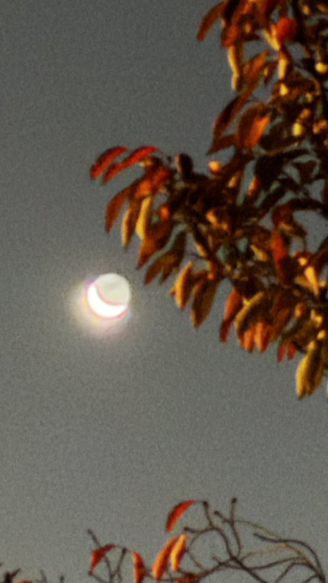 𝙞𝙠𝙤 / peace (@soji_2000) on Twitter photo 