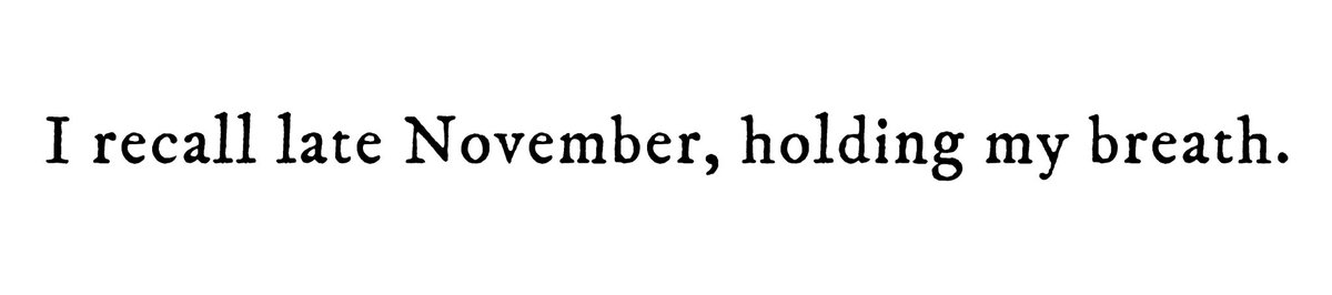 tswiftxlyrics's tweet image. 