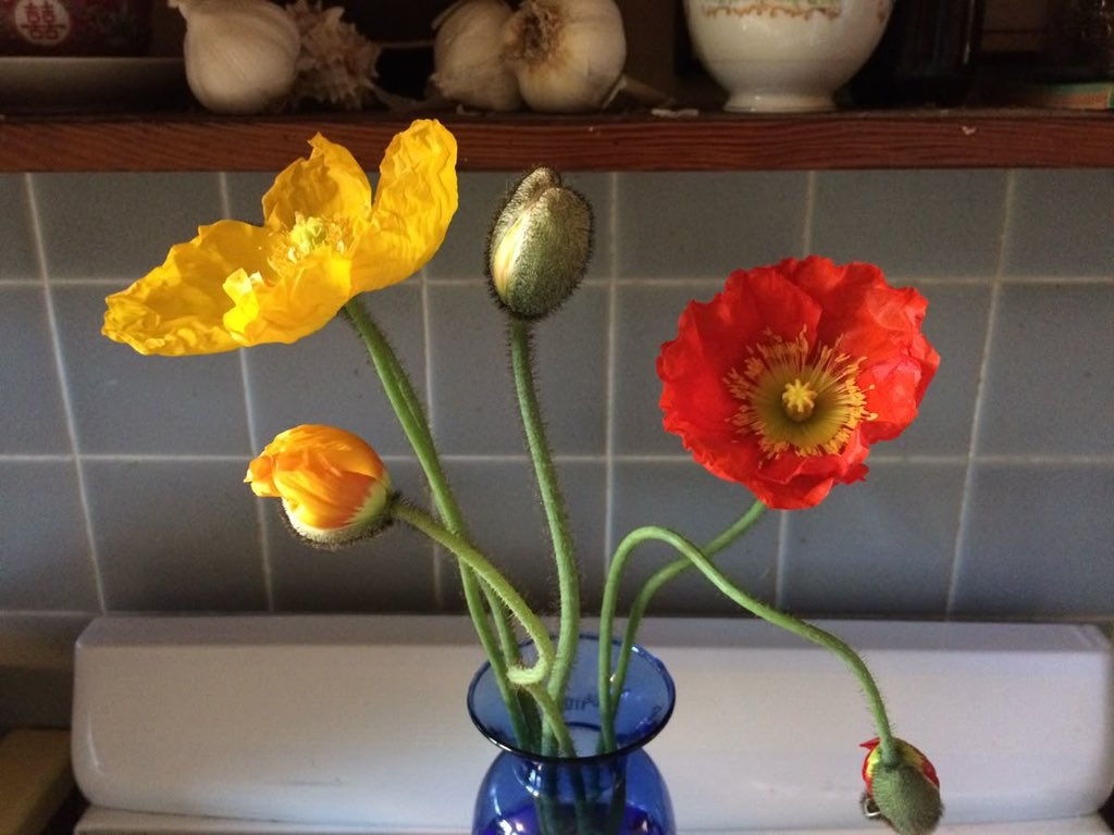 loeysmiffy's tweet image. today’s mood board