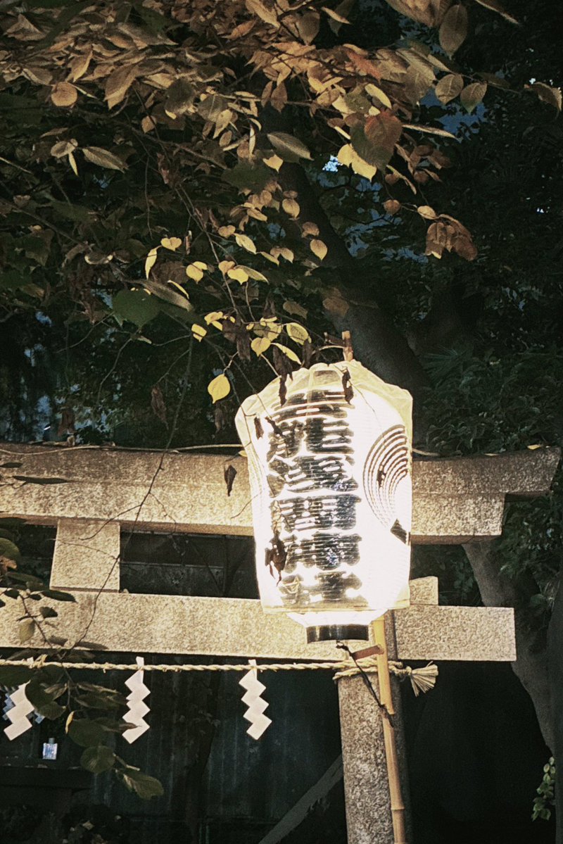 𝙞𝙠𝙤 / peace (@soji_2000) on Twitter photo 