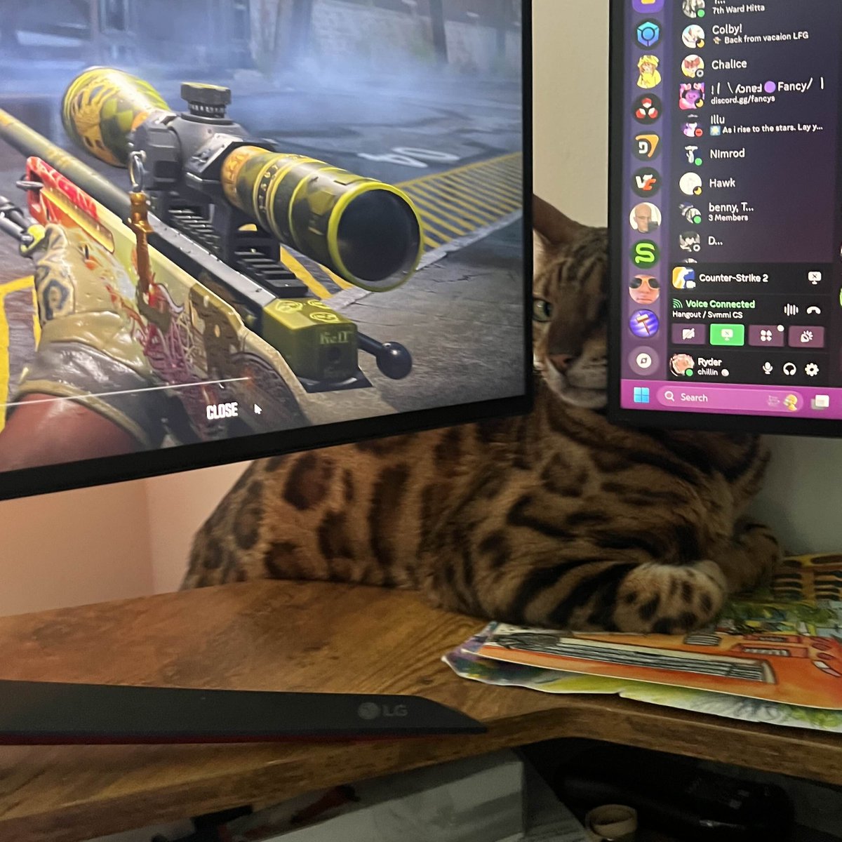 ryderlx2's tweet photo. it's cute till he starts swiping at my mouse https://t.co/3EqG2L1qft