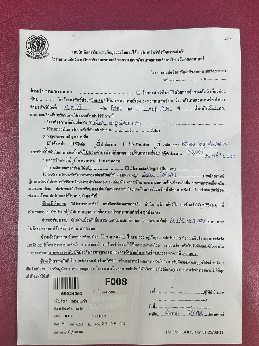 SmileAlone_'s tweet image. ขอความอนุเคราะห์จากผู้ใหญ่ใจดีค่ะ น้องตะโก้ถูกรถชน ทำให้ท่อฉี่ขาดไม่สามารถฉี่เองได้ และกระดูกเชิงกรานเคลื่อนใช้ขาหลังทั้งสองข้างไม่ได้ค่ะ ค่ารักษาหมอประเมินอยู่ที่ 50,000 บาท ค่ะ 
เลขบช. 879-7-063297 
ธนาคาร กรุงเทพ
ชื่อ บช. พัชริดา ออมแก้ว 
 #แมวจร #แมวหาบ้าน