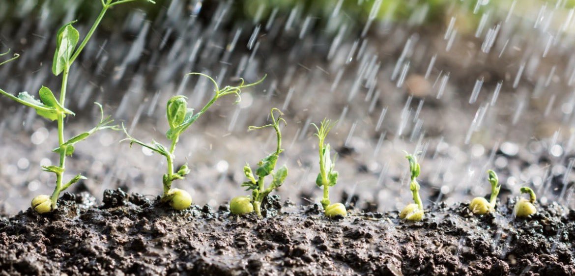 📖 1Corinthians 3:7 (KJV)🌱

So then neither is he that planteth any thing, neither he that watereth; but God that giveth the increase.