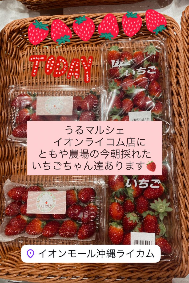 ともや農場【公式】株式会社MG.Produce (@TomoyaFarmSt) / Posts / X