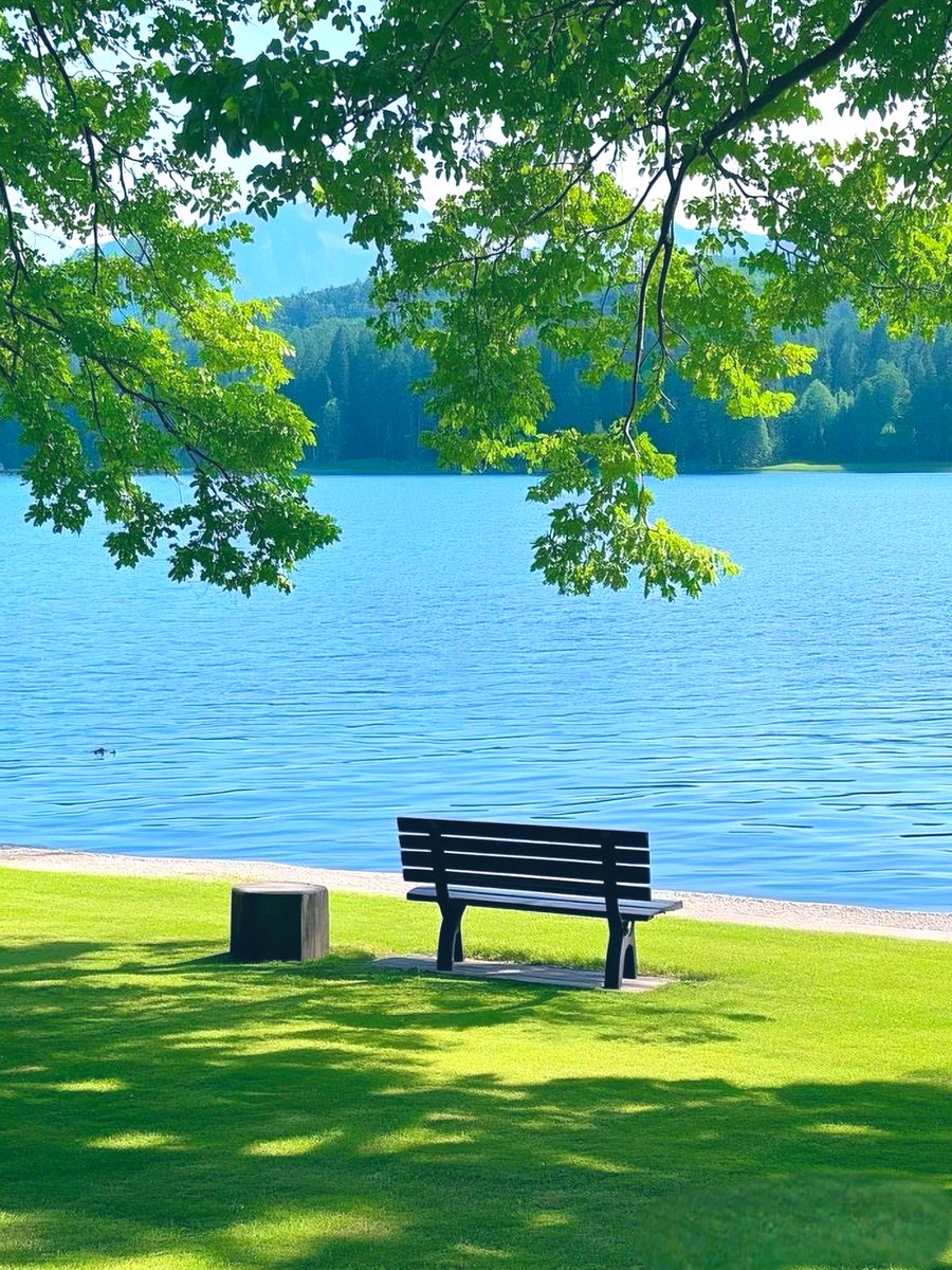 Şöyle hissetiren bir gün olsun ..

Günaydın #perşembe :)