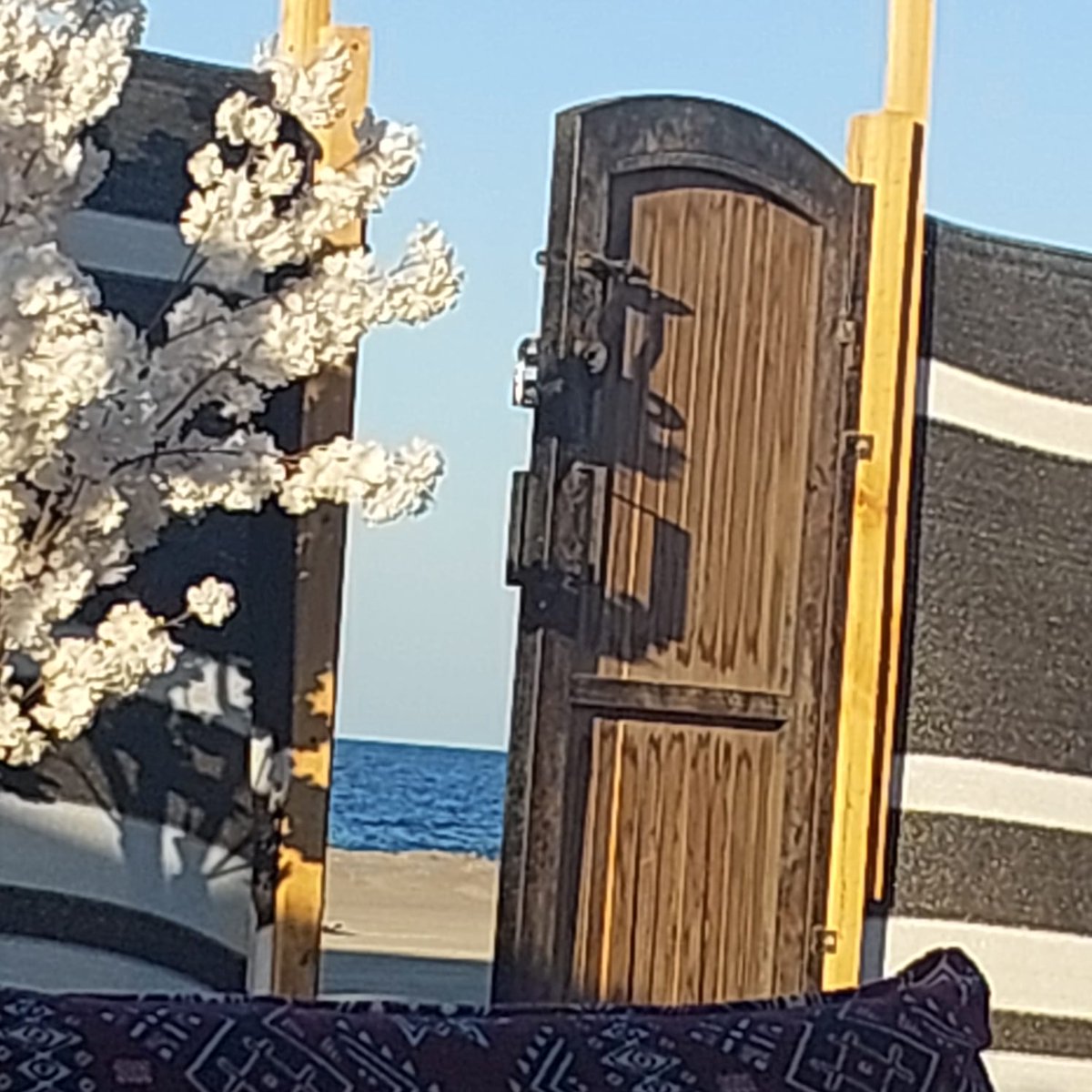 خلف كل باب حكاية تترجمها أحساسيس قد نشعر من خلالها أن لازال هناك متسع لنعيش أجمل التفاصيل نروي قصص جميلة تريحنا التفاصيل البسيطة ونحيا مع كل لحظة والأهم أن هذا الباب مزيج من أحداث قد تكتب وأخرى تُروى الصورة من مكان جميل ورائع البحر بكل تفاصيله مع المد والجزر وزرقة الماء .✍️