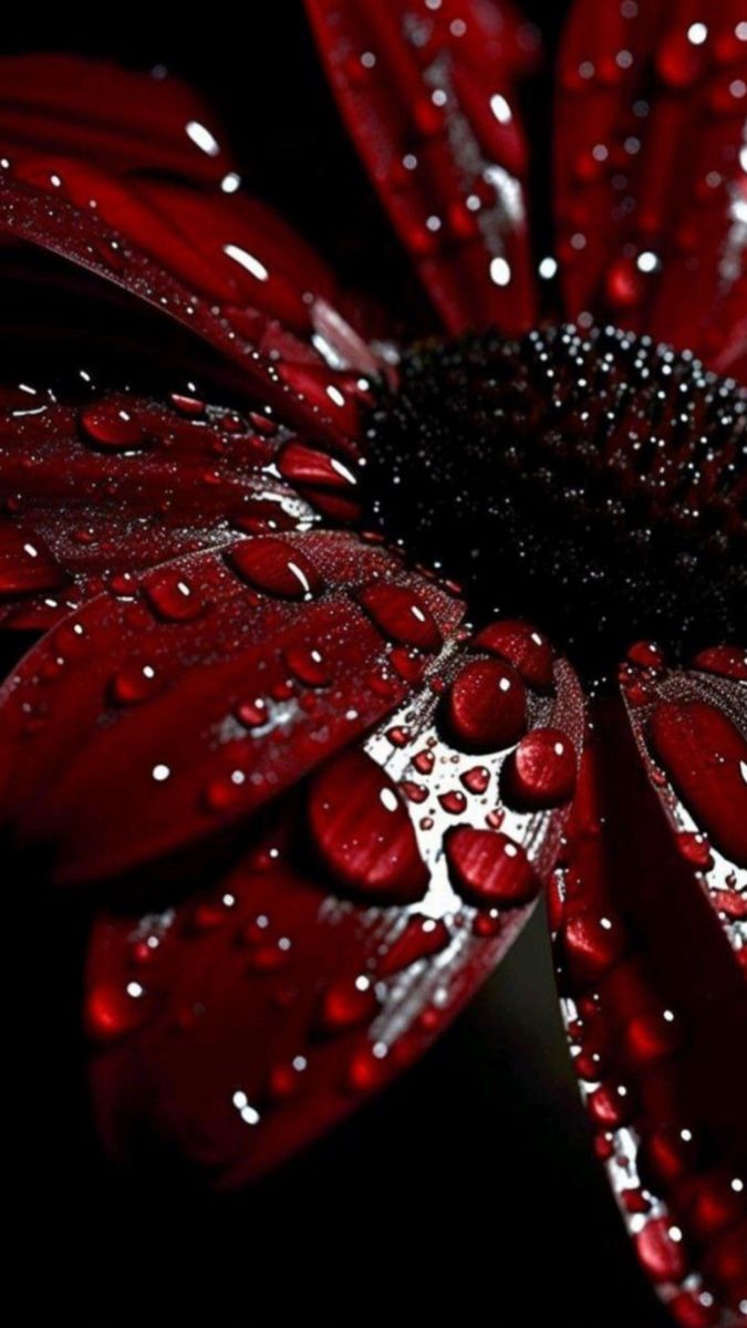 kYvcpOi5AViFOWB's tweet image. صباح النور